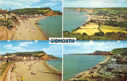 R064559 Sidmouth. Multi View - Monde