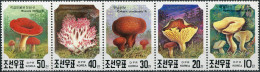 NORTH KOREA - 1991 - BLOCK OF 5 STAMPS MNH ** - Mushrooms - Corea Del Nord