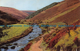 R064570 The Doone Valley. Exmoor. Jarrold. Cotman Color. 1965 - Monde