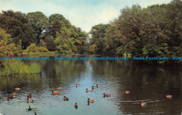 R064990 The Lake. West Ewell. 1971 - Monde