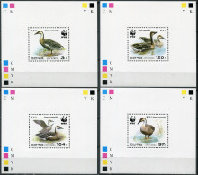 NORTH KOREA - 2004 -  SET OF 4 PROOFS MNH ** - Swan Goose (Anser Cygnoides) - Korea, North