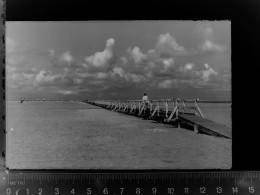 30038708 - St Peter-Ording - St. Peter-Ording