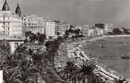 06-CANNES-N°T2536-D/0277 - Cannes