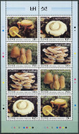 NORTH KOREA - 2003 - MINIATURE SHEET MNH ** - Various Mushrooms - Korea, North