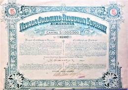 Nevada Goldfield Reduction Company (1910) - Mijnen