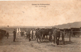 Camp De Coëtquidan Très Animée Le Pansage Chevaux Militaria - Guer Cötquidan