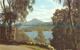 R064103 Schiehallion Through The Birches. Loch Rannoch. 1972 - World