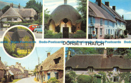 R064659 Dorset Thatch. Multi View. Photo Precision - World