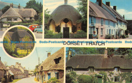 R064661 Dorset Thatch. Multi View. Photo Precision. 1975 - Mundo