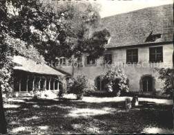 11629459 Schaffhausen SH Museum Zu Allerheiligen Kreuzgang Schaffhausen - Andere & Zonder Classificatie