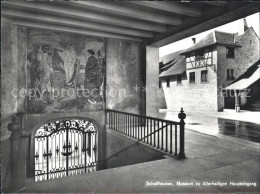 11629411 Schaffhausen SH Museum Zu Allerheiligen Haupteingang Wandgemaelde Schaf - Andere & Zonder Classificatie