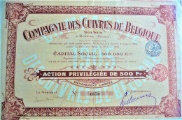 Compagnie Des Cuivres De Belgique-action Priviligiée (1905) - Duffel - Industry