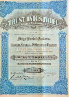 S.A. Trust Industriel - Act.de Capital De 500 Fr.  (1829) - Anvers - Other & Unclassified