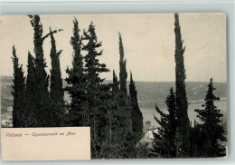 11016508 - Valosca - Cypressenwald  Am Meer  Ca 1905 - Kroatien