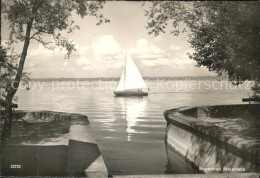 11629329 Altenrhein Partie Beim Strandbad Segelboot Altenrhein - Altri & Non Classificati