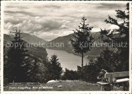 11629287 Grossberg Flums Blick Auf Walensee Flums - Altri & Non Classificati