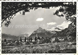 11629281 Maienfeld Gesamtansicht Mit Alpenpanorama Maienfeld - Sonstige & Ohne Zuordnung