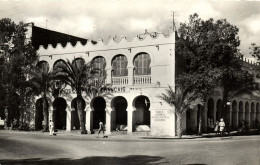 Djibouti, DJIBOUTI, Grands Comptoirs Français (1950s) RPPC Postcard - Djibouti