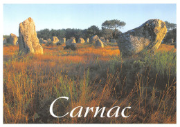 56-CARNAC-N°T2544-D/0049 - Carnac