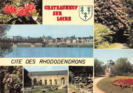 45-CHATEAUNEUF SUR LOIRE-N°T2545-A/0081 - Other & Unclassified