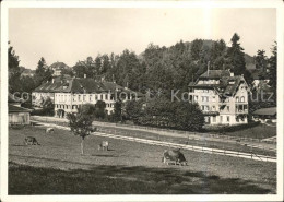 11628218 Heinrichsbad Herisau AR Kurhaus Augen- Und Ohrenklinik Kuehe Heinrichsb - Altri & Non Classificati