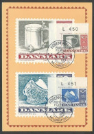 Denmark, 1981, NORDEN, Handicraft, Nice Maxicard (WIPA Postmark) - Other & Unclassified