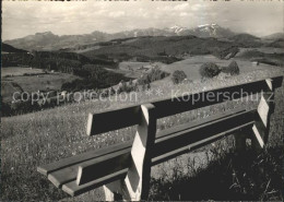 11628072 Wald AR Vorderland Bank Mit Blick Zum Saentis  - Altri & Non Classificati