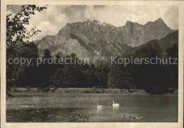 11627951 Bad Ragaz Rheinparksee Mit Falknis Schwaene Bad Ragaz - Autres & Non Classés