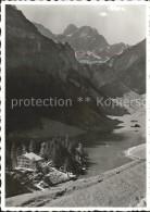 11627902 Seealpsee Berggasthaus Seealpsee Mit Altmann Seealpsee - Autres & Non Classés