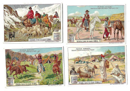 S 746, Liebig 6 Cards, Peuples Nomades (some Spots)  (ref B19) - Liebig