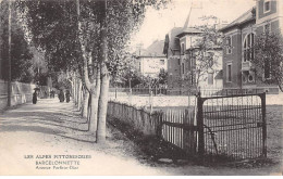 BARCELONNETTE - Avenue Porfirio Diaz - Très Bon état - Barcelonnetta