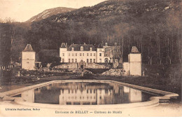 Environs De BELLEY - Château De Musin - Très Bon état - Zonder Classificatie