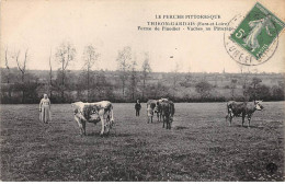 THIRON GARDAIS - Ferme De Pinodier - Vaches Au Pâturage - état - Other & Unclassified