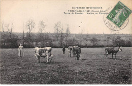 THIRON GARDAIS - Ferme De Pinodier - Vaches Au Pâturage - état - Autres & Non Classés