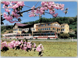 51361308 - Reichelsheim (Odenwald) - Other & Unclassified