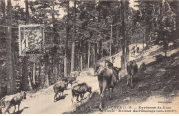 PEIRA CAVA - Dans La Forêt - Retour Du Pâturage - Très Bon état - Sonstige & Ohne Zuordnung