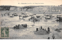 CANCALE - Le Triage Des Huîtres - Très Bon état - Cancale