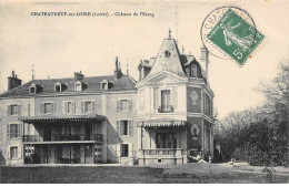 CHATEAUNEUF SUR LOIRE - Château De L'Etang - Très Bon état - Other & Unclassified