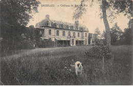 GRISELLES - Château De Bois Le Roi - état - Otros & Sin Clasificación