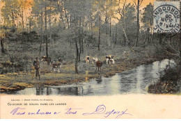 Coucher De Soleil Dans Les Landes - Très Bon état - Otros & Sin Clasificación