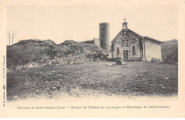 Ruines Du Château De LAUBESPIN Et Hermitage De SAINT GARADOZ - état - Autres & Non Classés