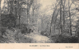SAINT JULIEN - Le Petit Bois - Très Bon état - Other & Unclassified