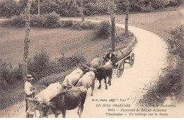 THOISSIA - Un Attelage Sur La Route - Très Bon état - Sonstige & Ohne Zuordnung