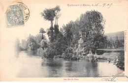 ROCHECOURT SUR MARNE - Les Iles Du Pont - Très Bon état - Altri & Non Classificati