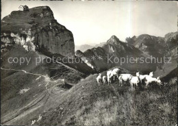 11627785 Hoher Kasten Mit Stauberg Hohe Haeuser Zigen Hoher Kasten - Sonstige & Ohne Zuordnung