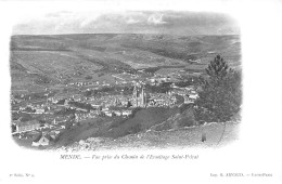 MENDE - Vue Prise Du Chemin De L'Ermitage Saint Privat - Très Bon état - Mende