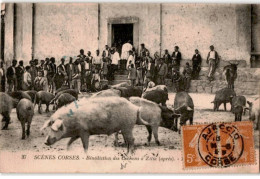 CORSE: ZILIA: Bénédiction Des Cochons à Zilia - Très Bon état - Other & Unclassified