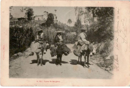 CORSE: Types De Bergères - Très Bon état - Autres & Non Classés