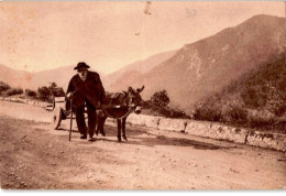 CORSE: BONIFACIO: Type De Vieux Bonifacien Avec Son Attelage - Très Bon état - Andere & Zonder Classificatie