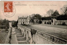 CHATILLON-COLIGNY: Ancien Château Des Sires De Coligny, La Terrasse - Très Bon état - Chatillon Coligny